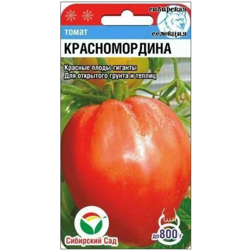 ���� ������ ����� �������������, 20 ����� + 2 ������� ������ ������