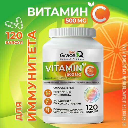 ���� ������� � 500 �� ��� ����������. ������������ �������. 120��. ������ ������