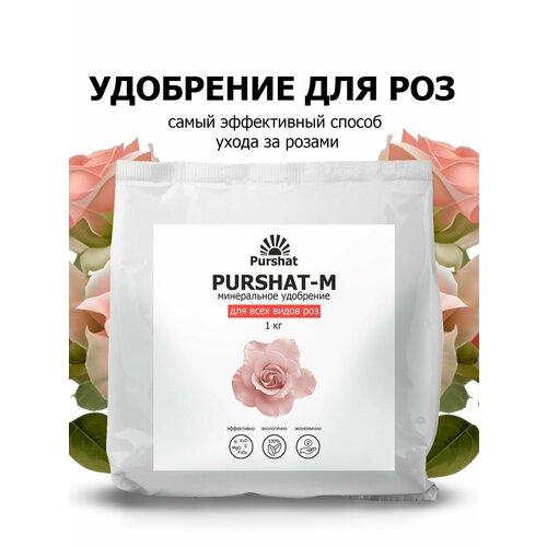 ���� ��������� ������ ��� ��� � ������ 1 �� ������ ������