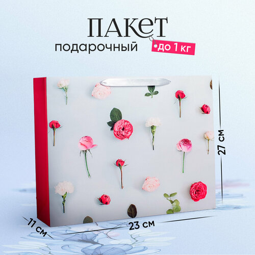 ���� ����� ���������� �������������� ��� ���������, 23 ? 27 ? 11 �� ������ ������