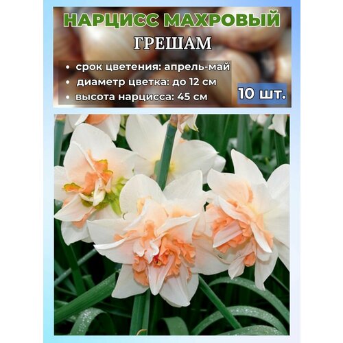 ���� ������� ��������, �������� 10 ���� ������ ������