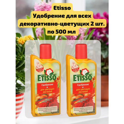   2 .         , 500 . Etisso   -     , -, 