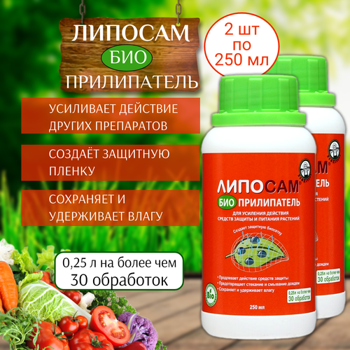 ���� ��������� ����������� ������� 250 ��, 2 �� ������ ������