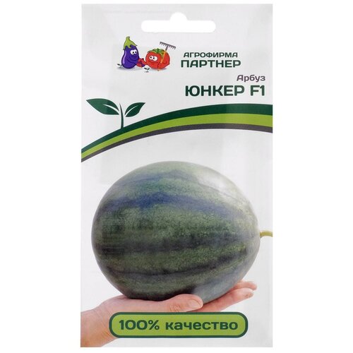 ���� ������� ����� 