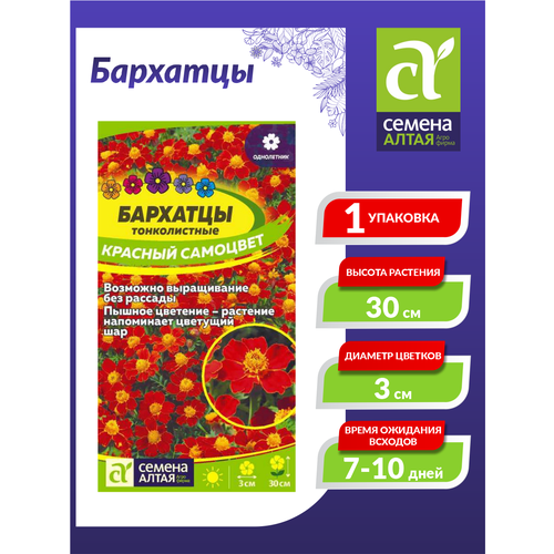 ���� ������ �������� ������� �������� ������������ ���������� 0,1 ��. ������ ������