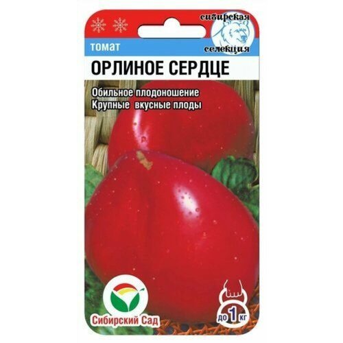 ���� ������ ����� ������� ������ 20�� ��� (��������� ���) ������ ������