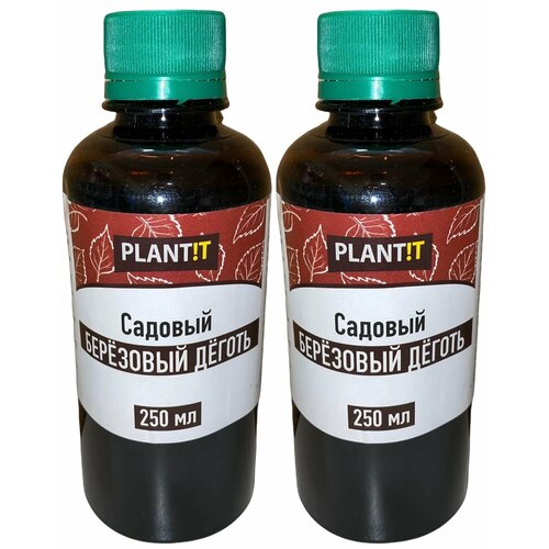 ���� ������ ��������� �� ���, ������, ��� 