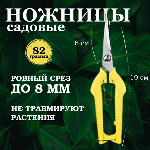 ���� ������� �������, ������� � ������� ������� �������� ��� �����������, ������, ��������, �����, 21 ��. ������ ������