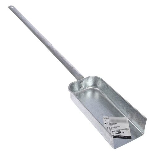 ���� ����� �������, ������������ ������ ������