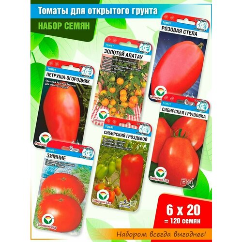 ���� ����� ����� ������� 