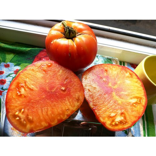 ���� ������������� ������ ������ ����� ������ ������ ������