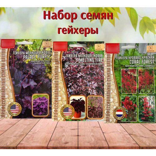 ���� ������ ������ ��� ���� �������, ����� 3 �������� ������ ������