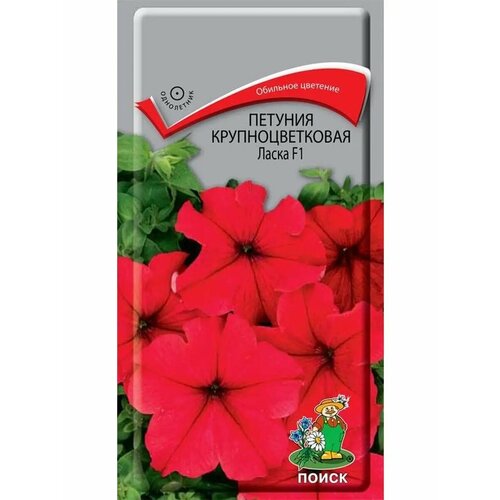 ���� ������ ������� 