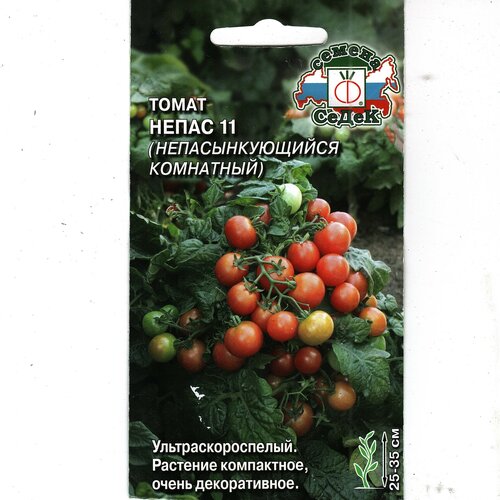 ���� ����� ����� 11, ���������, ���������������, ����������������� ( 1 ��: 0,1 � ) ������ ������