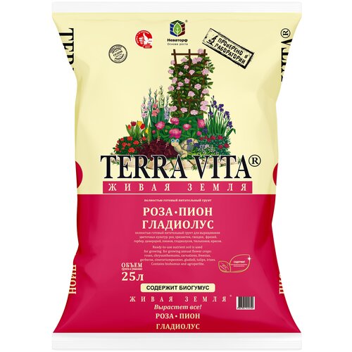 ���� ����� ����� ����-����-��������� 25 � ������ ������