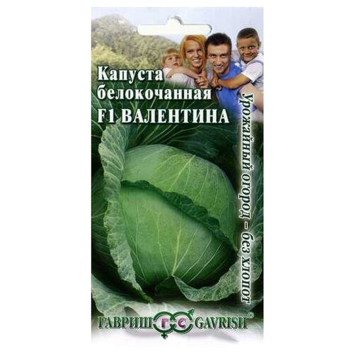 ���� ������ ������ ������� ������������ ��������� F1 0.1 �, 10 ��. ������ ������