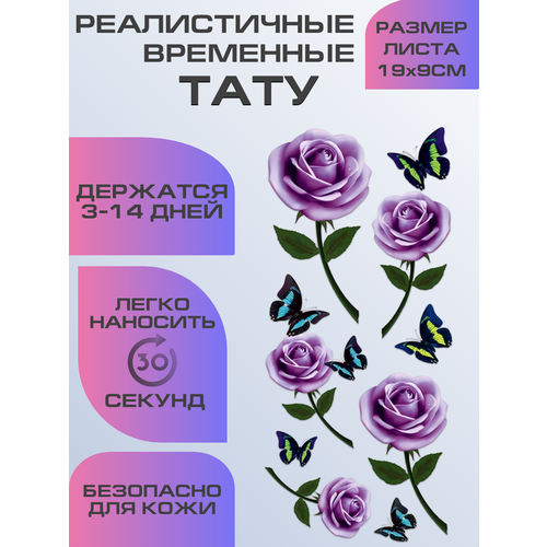 ���� ���� ���������� ��������������, ��������� ���� ���� ������ ������