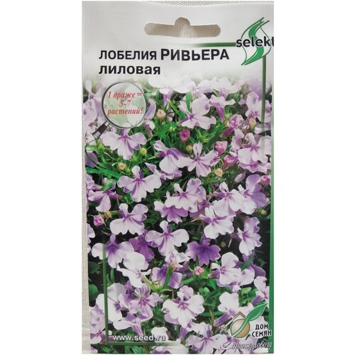 ���� ������� �������, �������, 10 ����� ������ ������