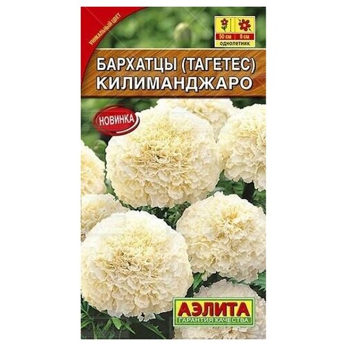 ���� ������. �������� 