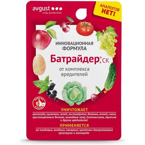 ���� Avgust �������� �� ���������� ���������, 10 ��, 10 � ������ ������