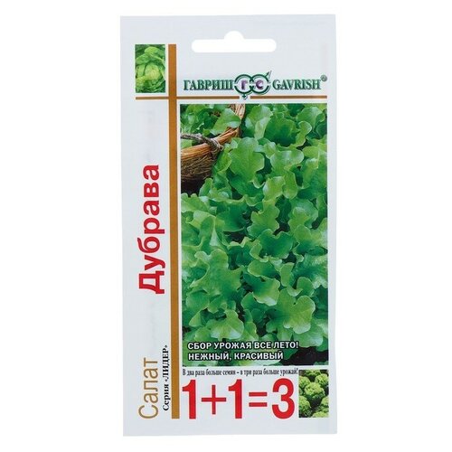 ���� ����� �������� �������, ������ ������ ( 1 ��: 2,0 �) ������ ������