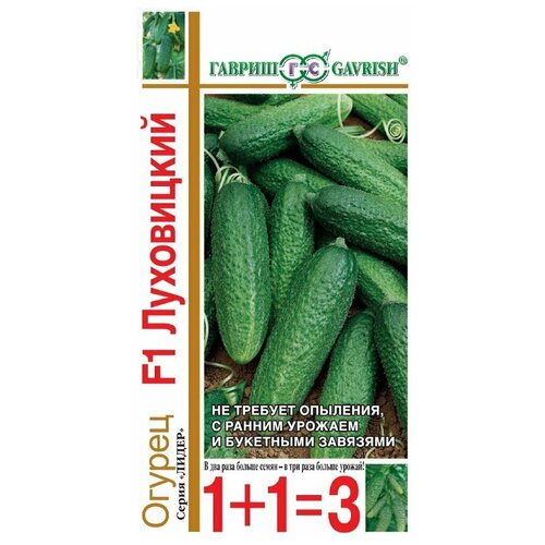 ���� ������ ������ 