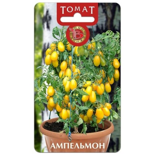 ���� ����� ��������� ����������� (������ ���������� 10��) ������ ������