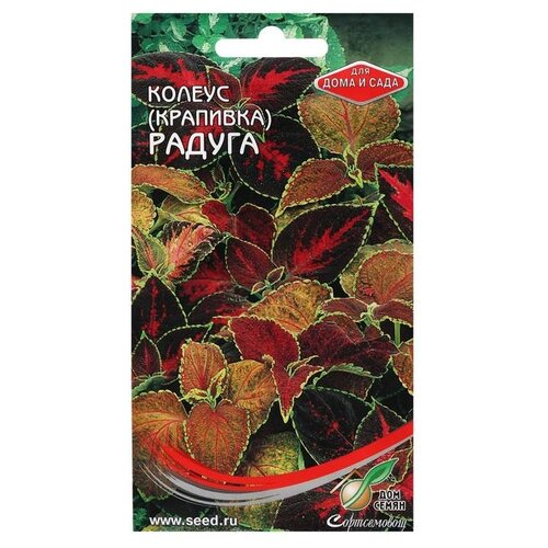 ���� ������ ��� ����� ����� ������ ����� ������, 130 �� ������ ������