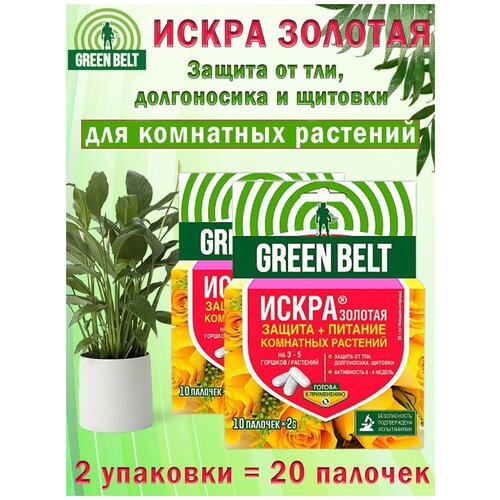 ���� ����� ������� �������, ��������� ��� ��������� ��������, 2 �������� ������ ������