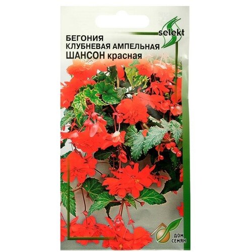 ���� ������ ������ ������� ���������, ���������, �������� 