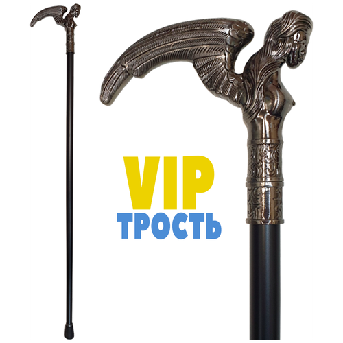 ���� ������ , ������ ��� ������, ������ �������, ������ ��� ������� , �����������, ������ � ������� ������ ������