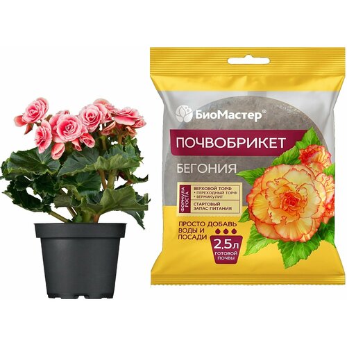 ���� ����������� 