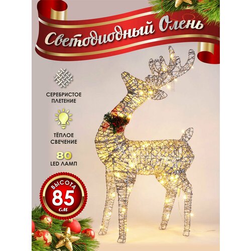 ���� ����� ���������� ������������ ���������� 80 �� ���������� ������ ������