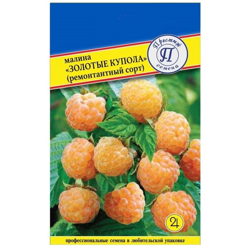 ���� ������ ������� ������ (������������ ����). ������. ������ ����� �� 200 ��. ��� ����� ����� �� 5-6 ��. ������ ������