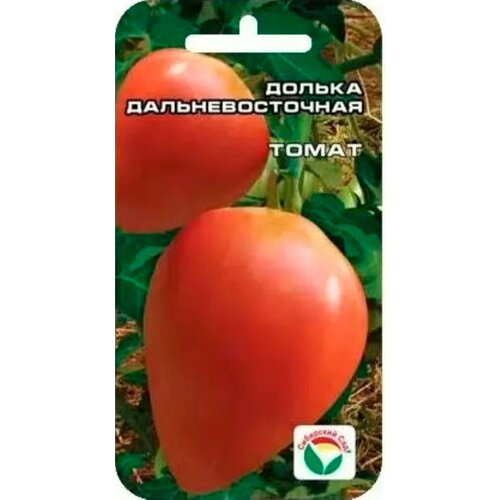 ���� ������ ����� ������ ��������������� 20�� ��� (��������� ���) ������ ������