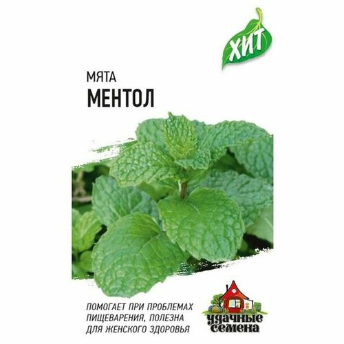 ���� ������ ���� 