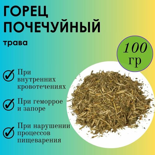 ���� ����� ���������� ����-�������� - ����� �� ��������, ������� ������� 100� ������ ������