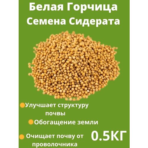 ���� ������� ������ ������� 0.5 �� ������ ������