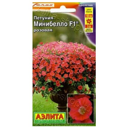 ���� ������� ���� �������������� ��������� ������� F1 ( 1 �������� ) , ������ ������ ������