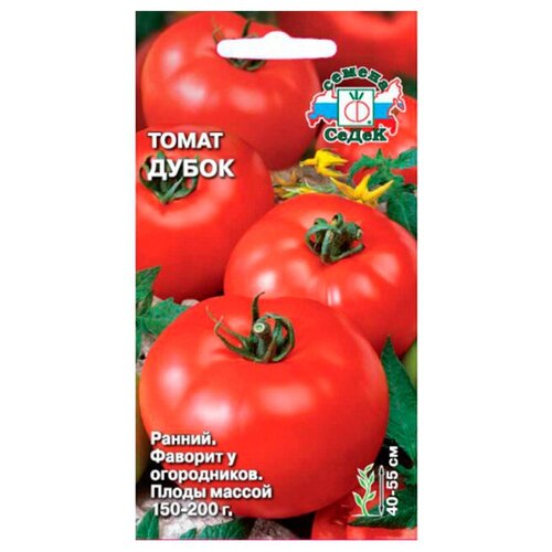 ���� ����� ����� ������ ������