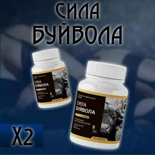 ���� ����������� ��� ������ ���� �������, ��� �������� � ������ 2�� ������ ������