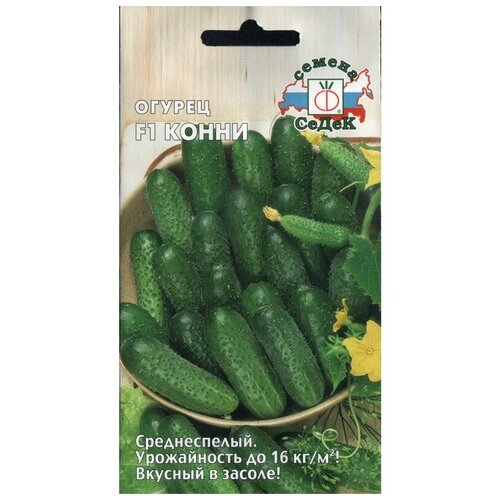 ���� ������ F1 ����� ������ ������