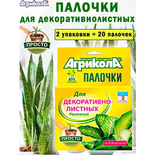 ���� �������� ������� ��� ������������������ ��������, 2 �������� ������ ������