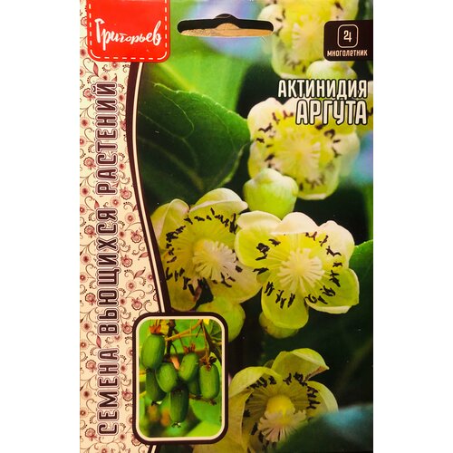 ���� ������ ��������� 