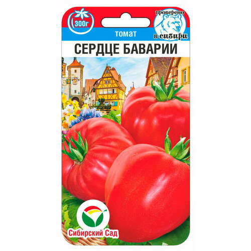 ���� ������ ����� ������ ������� 20�� ��� ������ (��������� ���) ������ ������