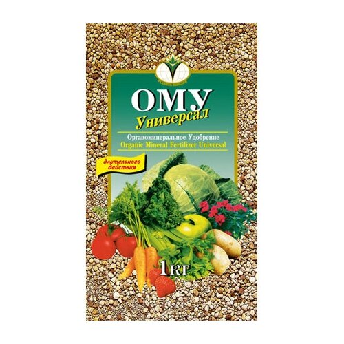 ���� ��������� 