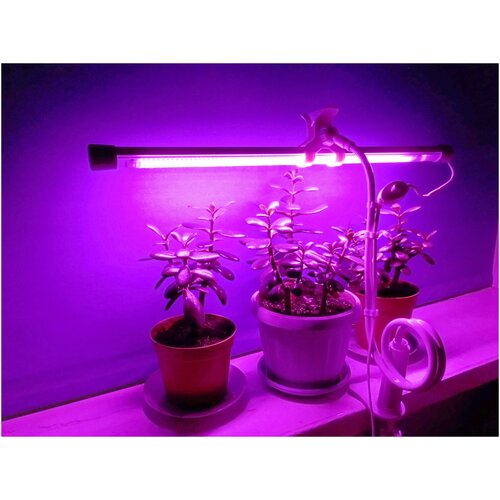 ���� ��������� ��� ��������� ����������, ������ 100 �� ������ ������