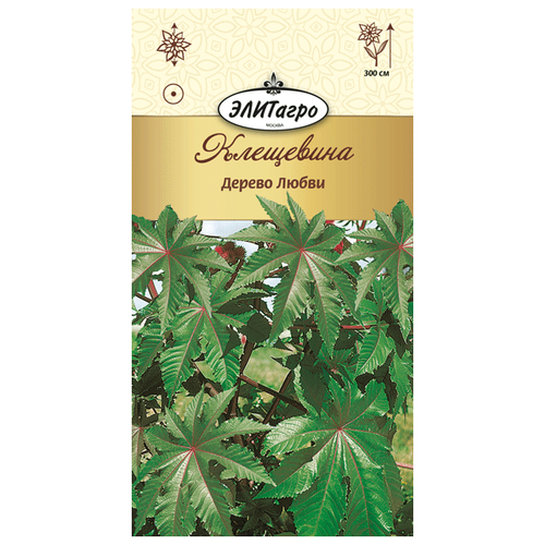 ���� ��������� ������ ����� (5 �����), 2 ������ ������ ������