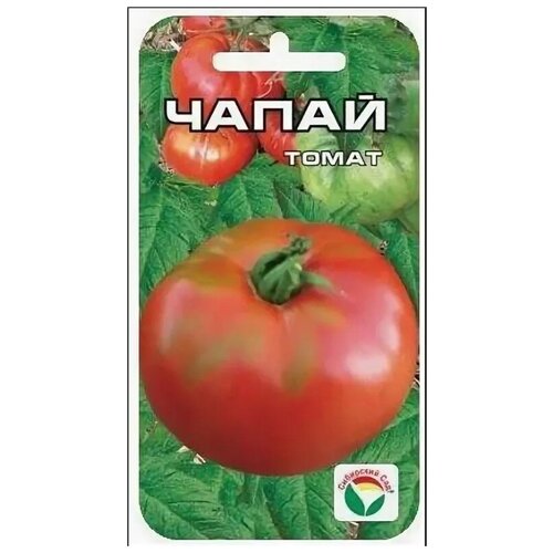 ���� ����� ����� ������ ������