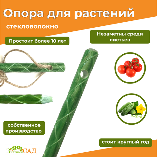 ���� ������� � ���������� ��� �������, 1,5�/ �������������, 20 ���� ������ ������